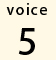 voice5