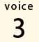 voice3